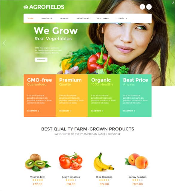 Online Grocery Shopping Website Templates 794