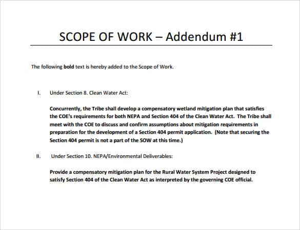 scope of work template 990