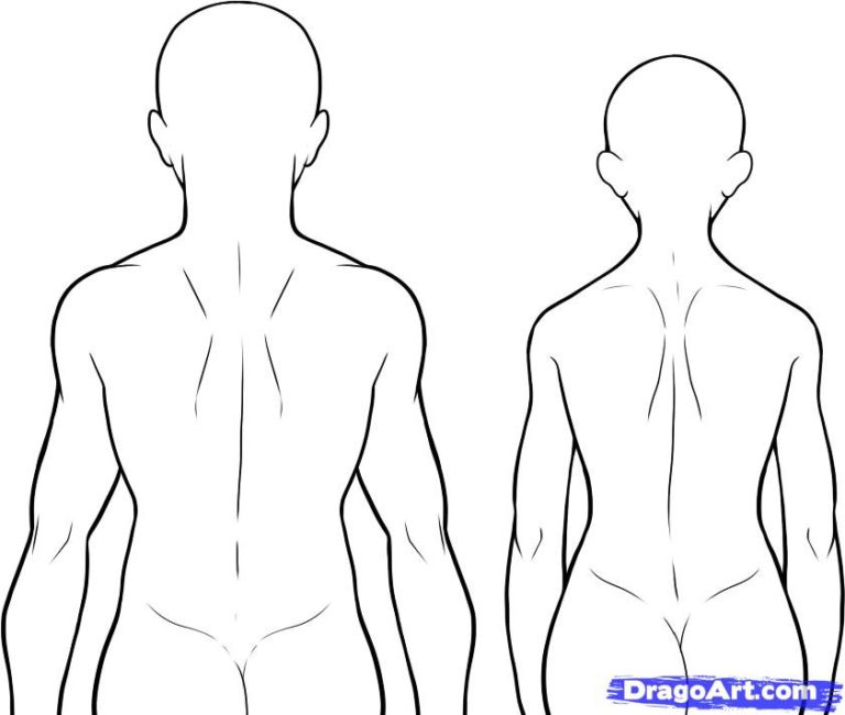 human body outline sketch